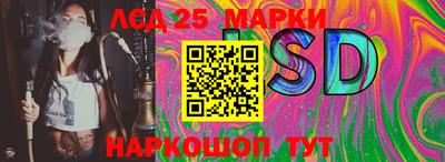 PSILOCYBIN Камышлов